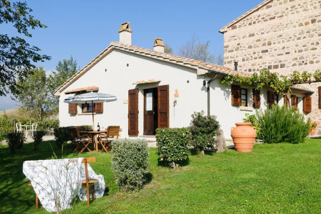 Cottage Assolata Overlooking The Orcia Valley In Tuscany ラディコーファニ エクステリア 写真
